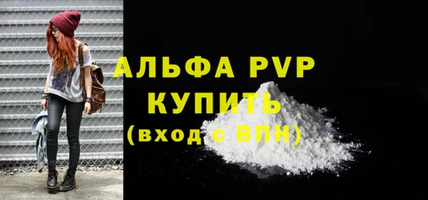 дживик Верхний Тагил
