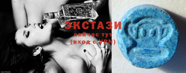 дживик Верхний Тагил
