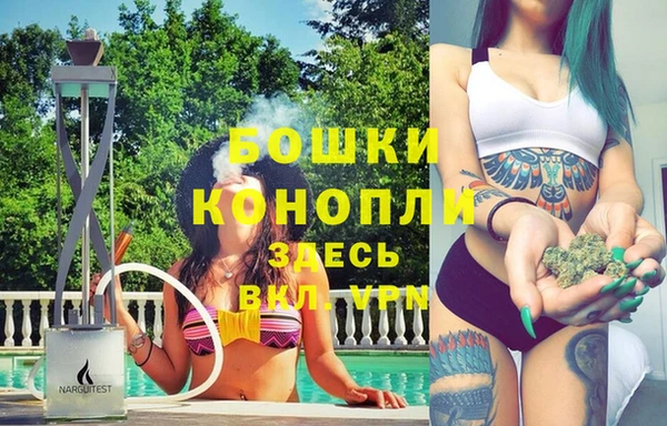дживик Верхний Тагил