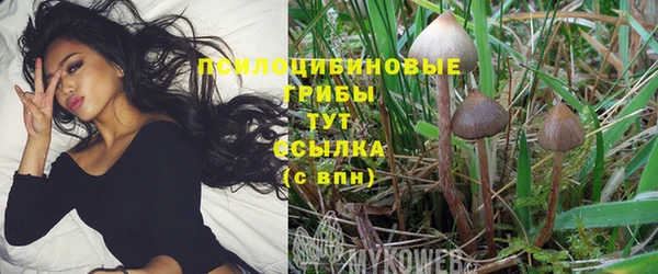 mix Верея