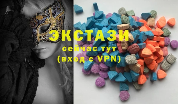дживик Верхний Тагил
