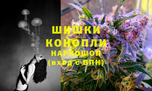 дживик Верхний Тагил