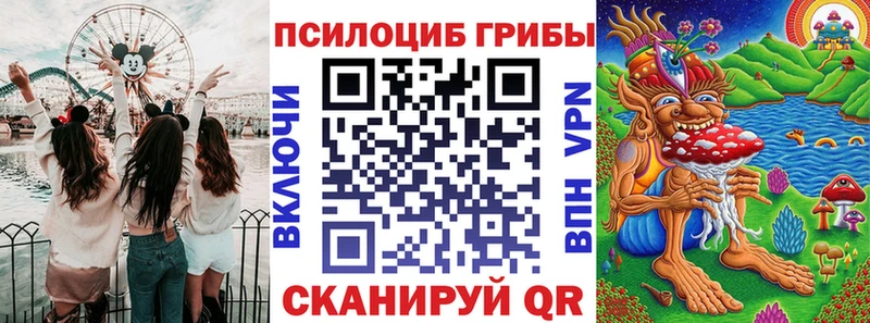 Купить Комсомольск Псилоцибиновые грибы Cubensis